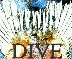 DIVE